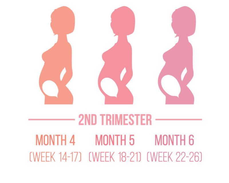 Importance of 2nd Trimester During Your Pregnancy Journey